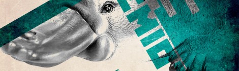 Prórroga para el envío de abstracts al 13° Congreso de la IASS-AIS en Kaunas, Lituania, 26-30 de junio de 2017